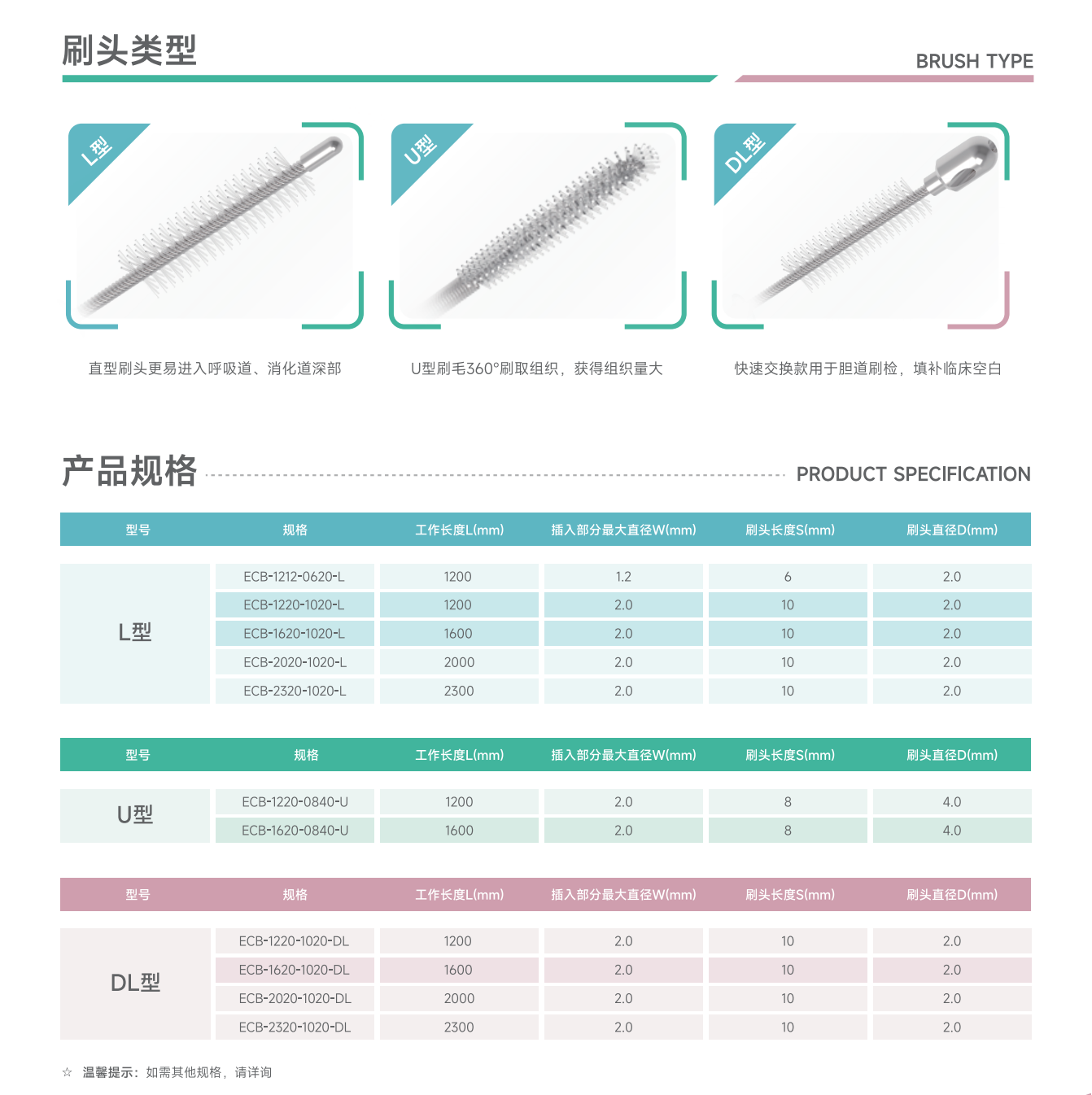 普昂消化-官網圖-ECB規格.png